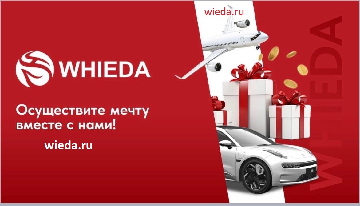 Бизнес с Whieda — пошаговое руководство